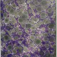Book slipcaase - lavender & green cover