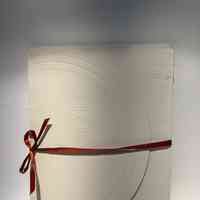 Color Poems / Calliopea Press / Siv Cedering Fox