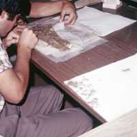 Scan of a slide showing a book being cleaned