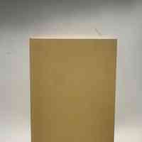 Shocks / Lester-Massman, Gordon / Yellow Barn Press