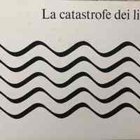 La catastrofe dei libri