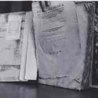 Photo of the inside of Verae Alchemiae