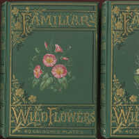 Familiar Wild Flowers Figured and Described / F. Edward Hulme