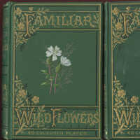          Familiar Wild Flowers Figured and Described / F. Edward Hulme picture number 2
   
