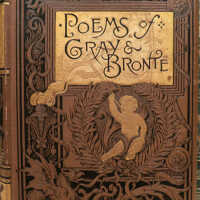          The Complete Poems of Charlotte Brontë and Thomas Gray picture number 1
   