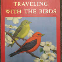 Traveling with the Birds: A Book on Bird Migration / Rudyerd Boulton