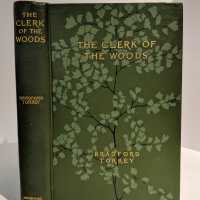 The Clerk of the Woods / Bradford Torrey