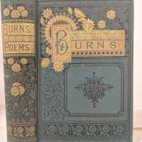          The Complete Poetical Works of Robert Burns / Robert Burns picture number 3
   