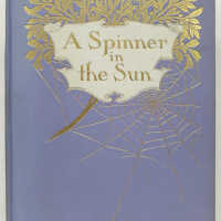          A Spinner in the Sun / Myrtle Reed picture number 1
   