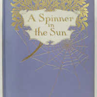 A Spinner in the Sun / Myrtle Reed