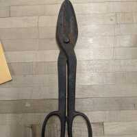 Metal shears