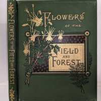          Flowers of the Field and Forest From Original Water-Color Drawings After Nature by Isaac Sprague / Reverend A.B. Hervey picture number 1
   