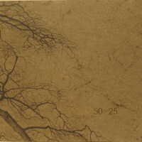 50 x 25 : 11 October 1993, 22 January 1994, the Elizabeth Perkins Prothro Galleries.