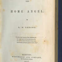          The Home Angel / L.B. Urbino picture number 5
   