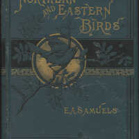 Our Northern and Eastern Birds / Edward A. Samuels