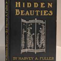 Hidden Beauties / Harvey A. Fuller