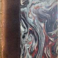 Journal intime, 1878-1881