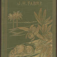 Insect Life: Souvenirs of a Naturalist / Jean-Henri Fabre
