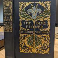 The Blue Flower