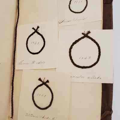 Amy Hall Williams Hair Album 1834-1844: Hair Samples from: Amos Davies 1841 "cousin"; James B. Mode 1843 "cousin"; Alexander Mode 1843 "cousin"; William Mode Jr. 1841 "cousin"; unknown braid.