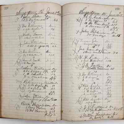 Daybook 1880-1882: Entries June 8-10, 1881