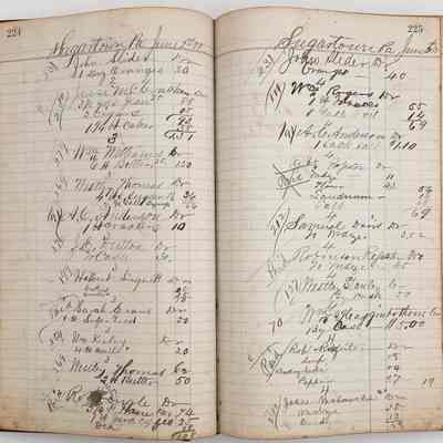 Daybook 1880-1882: Entries June 2- June 3, 1881