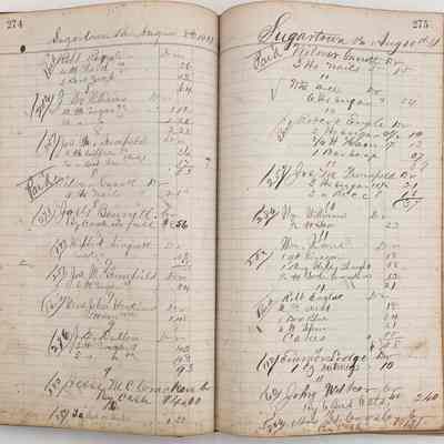 Daybook 1880-1882: Entries Aug 8-10, 1881