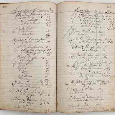 Daybook 1880-1882: Entries June 11, 1881