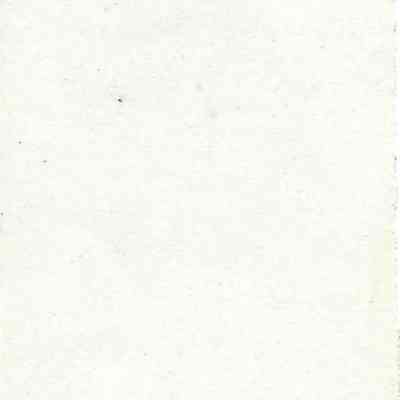 Amy H. Williams: back of photograph