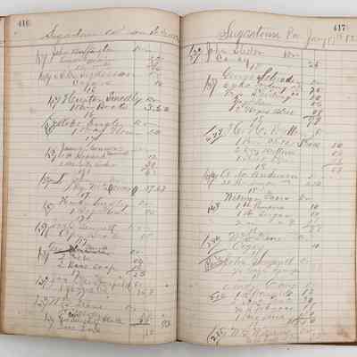 Daybook 1880-1882: Entries Jan 16-17, 1882