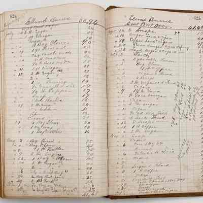 Daybook 1880-1882: Individual purchase log for Ellwood Burns: July 14-Nov 30, 1881