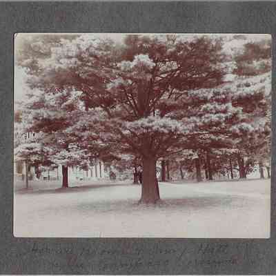 Harrie Brown and May Hall on the campus grounds: Full Page (9/14) - "Harrie Brown + May Hall on the campass grounds"