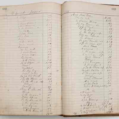 Daybook 1880-1882: Individual purchase log for Ellwood Burns: June- Nov 18, 1881