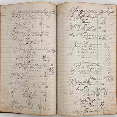 Daybook 1880-1882: Entries May 17-18, 1881