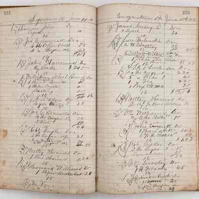 Daybook 1880-1882: Entries June 14-15, 1881