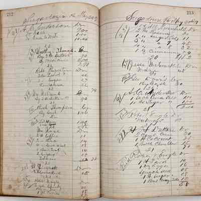 Daybook 1880-1882: Entries May 20, 1881