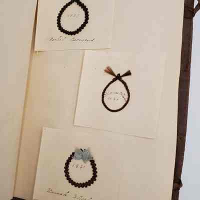 Amy Hall Williams Hair Album 1834-1844: Hair samples from: Rachel Townsend 1839; Thomas Whislar 1840; Hannah Whislar 1840, blue bow
