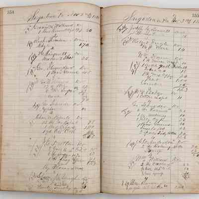 Daybook 1880-1882: Entries Nov 2-3, 1881