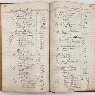Daybook 1880-1882: Entries June 1-2, 1882