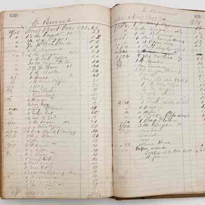 Daybook 1880-1882: Individual purchase log for Ellwood Burns: Nov 25, 1881- Mar 29, 1882