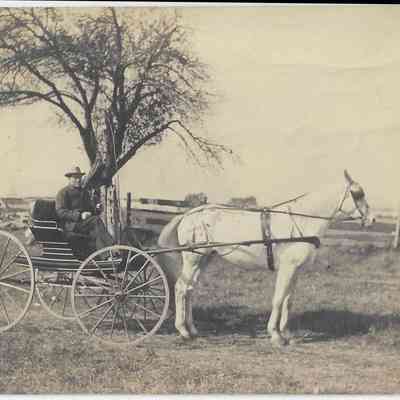Local Families Photograph Collection/Elwood Glisson and horse “Lady”