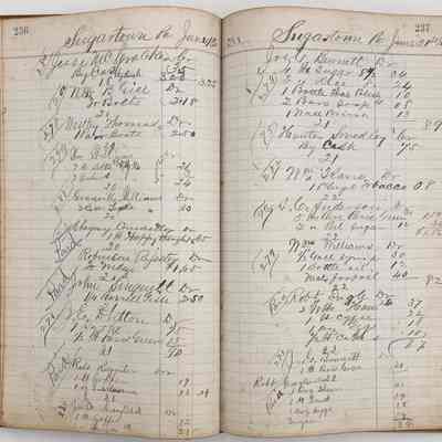 Daybook 1880-1882: Entries June 18-20, 1881