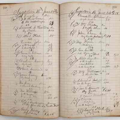 Daybook 1880-1882: Entries June 22-24, 1881