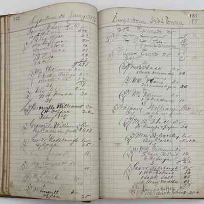 Daybook 1880-1882: Entries Jan 31-Feb 2, 1881