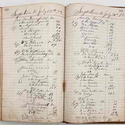 Daybook 1880-1882: Entries July 19-20, 1882