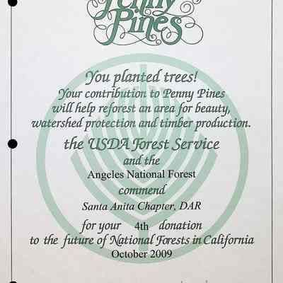 Penny Pines Certificate, 2009