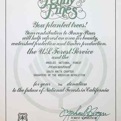 Penny Pines Certificate, 1994
