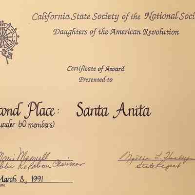 CSS DAR Award for Under 60 Members, March 1991