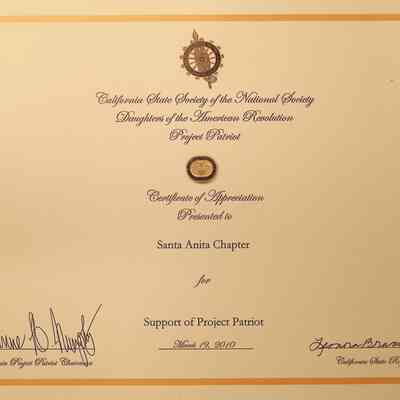 CSS DAR Project Patriot Award, 2010