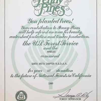 Penny Pines Certificate 1989